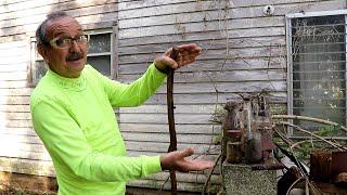 Exploring 140 Year Old Farm In Georgia (Full Old Byrd Farm Tour With The Other Robert)