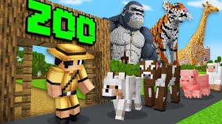 Minecraft but I Open A Zoo...