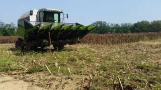 CLAAS MEGA 350 +OROS SAN  + CHOP