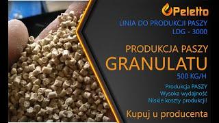 Produkcja paszy granulowanej, granulatu / Linia do produkcji pasz granulowanych LDG-3000