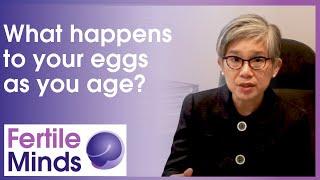 What happens to your eggs as you age? - Fertile Minds