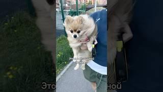 Бася недовольна моим решением!