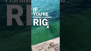 Sabiki Rig Fishing Tip #fishing #saltwaterfishing #sabiki #pierfishing #baitfishing