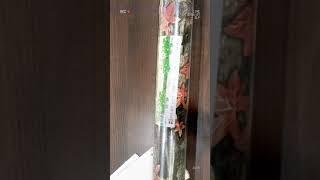 Wallpaper installation in living room