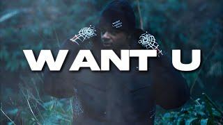 Kidwild x Nemzzz Sample Hoodtrap Type Beat 2025 - "WANT U" | @rkayotb