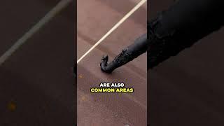 Where Do Metal Roofs Leak? Common Trouble Spots Revealed! #metalroof  #metalroofing  #roofing