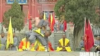 Shaolin free fighting Sanshou