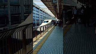 Japan Bullet Train Travel Tips (How to Ride Shinkansen)