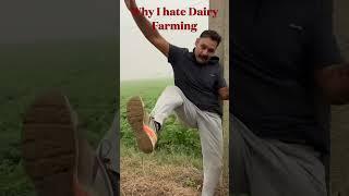 Dairy farming vs vegetable farming