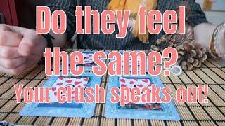 Free Tarot Online - PICK A CARD ** Do they feel the same? Your crush speaks out! ** (Timeless)