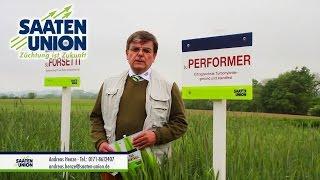 Saaten-Union: Hybridroggen SU PERFORMER (Vertriebsberater Andreas Henze)