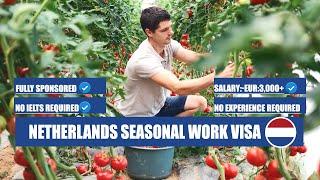 Netherlands Seasonal Work Visa 2023||Fully Sponsored Work Visa|| Abroad Vacancies || No Experiece