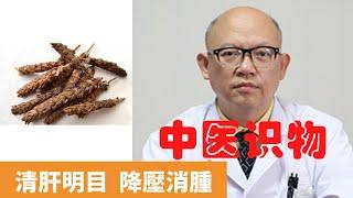 夏枯草的功效與作用【保健養生】生生不息