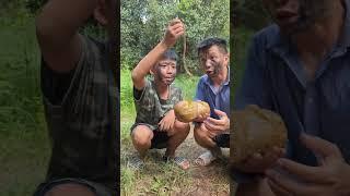 Quả bí ngô trả ơn | Tân ối á #shorts