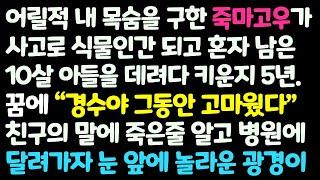 (신청사연) 내 목숨 구한 죽마고우가 사고로 식물인간 되어 10살 아들 데려다 키우던 어느 날 꿈에 친구를 보고 병원으로 달려가는데 /감동사연/사이다사연/라디오드라마/사연라디오