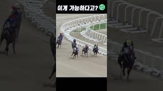 경주마가 급똥이 마려우면 생기는 일 #shorts