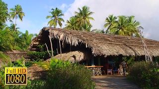 Venezuela Orinoco-Delta / Amazing documentation German