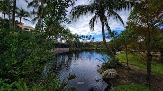 4K Lake Park ( Key Biscayne ) , Fall Walking Virtual Travel Tour , Miami Florida , November 2024