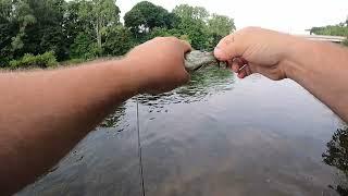 Fishing the Muskegon River. Newaygo Michigan.