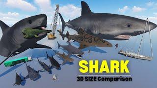  Shark Size Comparison 3D ˚˖𓍢ִִ໋ Sea Monsters 2024 ||  Megalodon Vs The Bloop Vs El Gran Maja