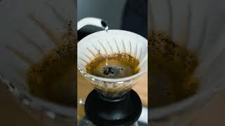 Hario Switch V60 | Brew Guide #shorts #coffee #guide #barista #pourover