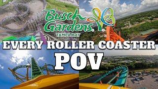 Every Roller Coaster at Busch Gardens Tampa POV [4K] 2022