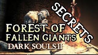 Dark Souls 2 Secrets: FOREST OF FALLEN GIANTS/CARDINAL TOWER!