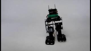 Lynxmotion Modified BRAT Bipedal Robot  by RobotShop.com