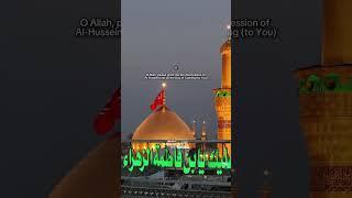 Ziyarat Ashura - Karbala, Iraq 