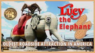 Lucy the Elephant | Oldest Roadside Attraction in America