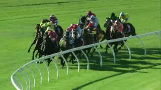 Railway Stakes 2024 - PORT LOCKROY (3YO+ Hcp G1) Group 1 Ascot 23 November