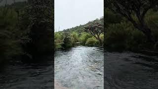 Most beautiful nature #shorts #short #nature #travel #waterfall