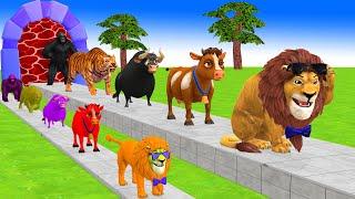 Paint & Animals Cow,Gorilla,Lion,Tiger,Ferdinand, Fountain Crossing Transformation Cartoon