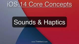 iPhone Tutorial: Sounds and Haptics(Vibrations) Settings.