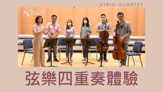 NTSO X LOL笑哈哈之弦樂四重奏體驗