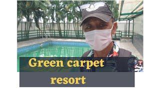 green carpet resort |hanur|tibetanyoutuber