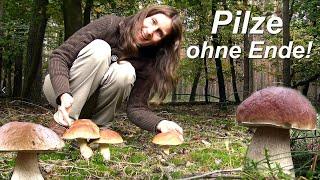 Pilz-Schwemme! Pilze ohne Ende!