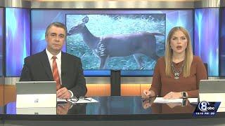 Nebraska Department of Transportation gives driving tips for deer season
