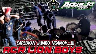 ACR lion boys terbaru Caplokan jumbo Ngamok Live.Baran bataek an