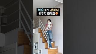 복층 단점 개많음