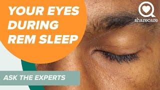 What Happens to the Eyes When a Person is in REM Sleep? | Ask the Experts | Sharecare