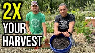 Planting a Fall Garden Fast: Instant Garden in the Food Forest