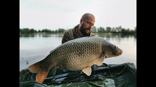 Carp fishing on lake Zajarki, Zapresic (Croatia)