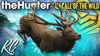 THE RED DEER LUCK CONTINUES! GIANT Melanistic Red Deer with the Longbow! | Call of the Wild