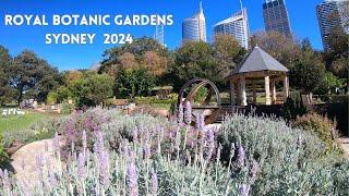 Royal Botanic Gardens  Sydney 2024