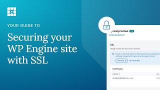 Securing your WP Engine website with SSL