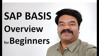 SAP BASIS Overview for Beginners