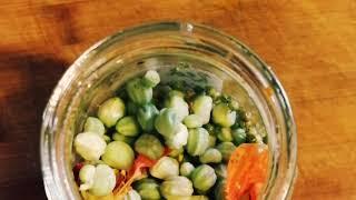 Wilderkind: Wild-Superfoods- Making Capers from Nasturtium