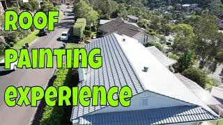 Painting a house  Roof painting experience