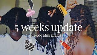 I Reinstalled My 5-Week-Old Mini Braids – Here's How I Did It